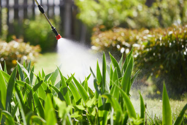 24/7 Emergency Termite Control experts in Rockvale, TN